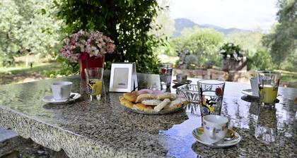 villa avec grand jardin, gazebo et barbecue