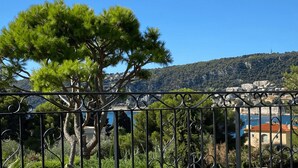 A coastal view with a tree in the foreground, a metal fence, and buildings in the background.