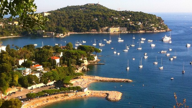 A coastal town with a marina filled with boats, a beach, and buildings surrounded by greenery.