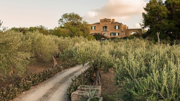 Un sendero rural que lleva a una construcción de piedra rodeada de olivares.