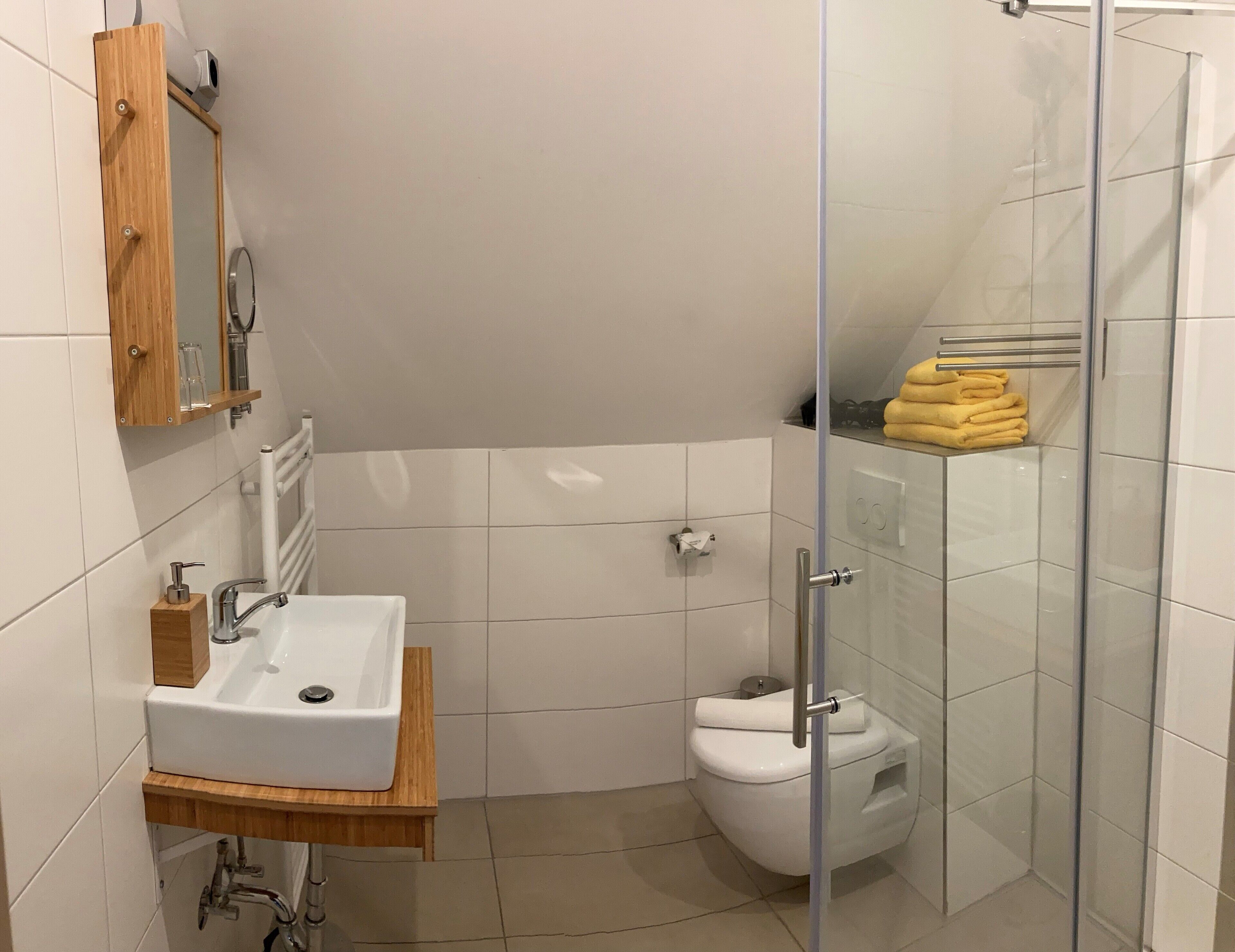 basic double room | bathroom | shower, hair dryer