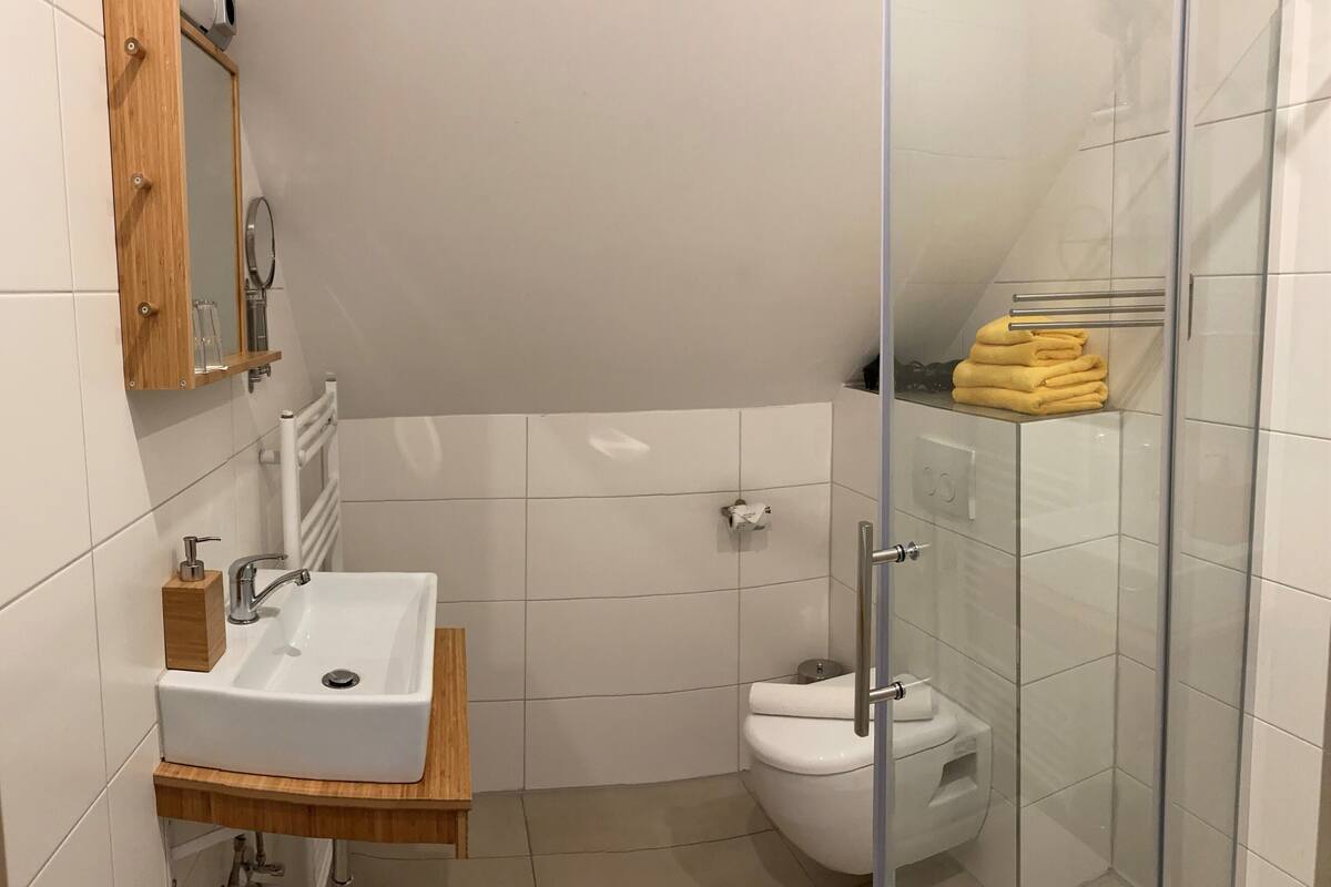 basic double room | bathroom | shower, hair dryer