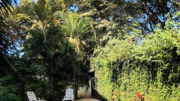 Piscina com duas cadeiras de descanso brancas, cercada por vegetação exuberante e um muro de pedra.