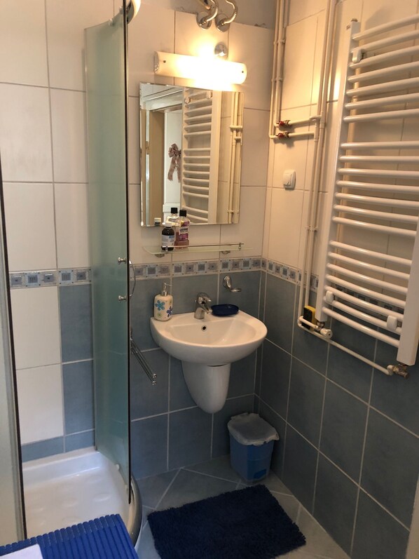 A bathroom with a glass shower enclosure, a white sink, a mirror, and a towel rack.