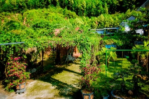 Jardim