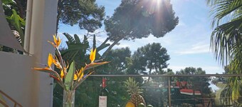 Recharge your Batteries in Malaga-La Yuca