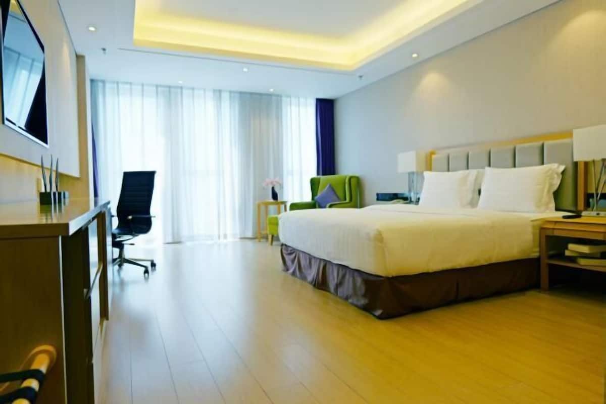 Escritorio, cortinas opacas, sistema de insonorización