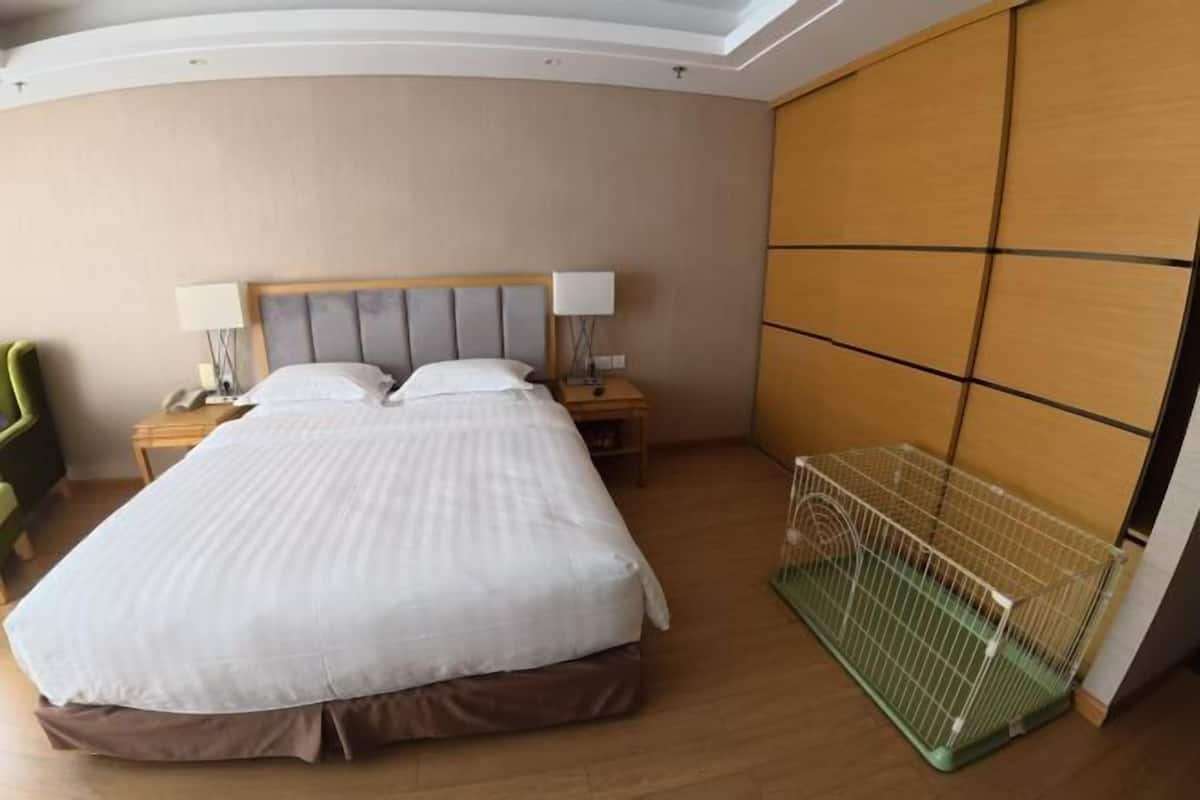 Desk, blackout curtains, soundproofing, rollaway beds