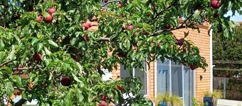 Appartement moderne et élégant de 2 chambres pour 4 personnes, Wifi gratuit, Parking dans la rue