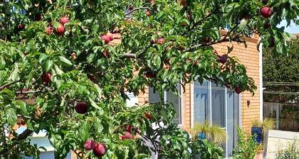 Stylish, large apartment sleeps 4, Wifi, Off street Parking, Private Garden