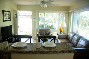 Älytelevisio, DVD-soitin