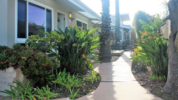 A pathway leading to a building with large windows and a well-maintained garden with various plants and a palm tree.