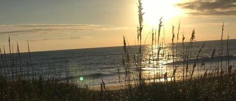 En la playa, camastros y toallas de playa