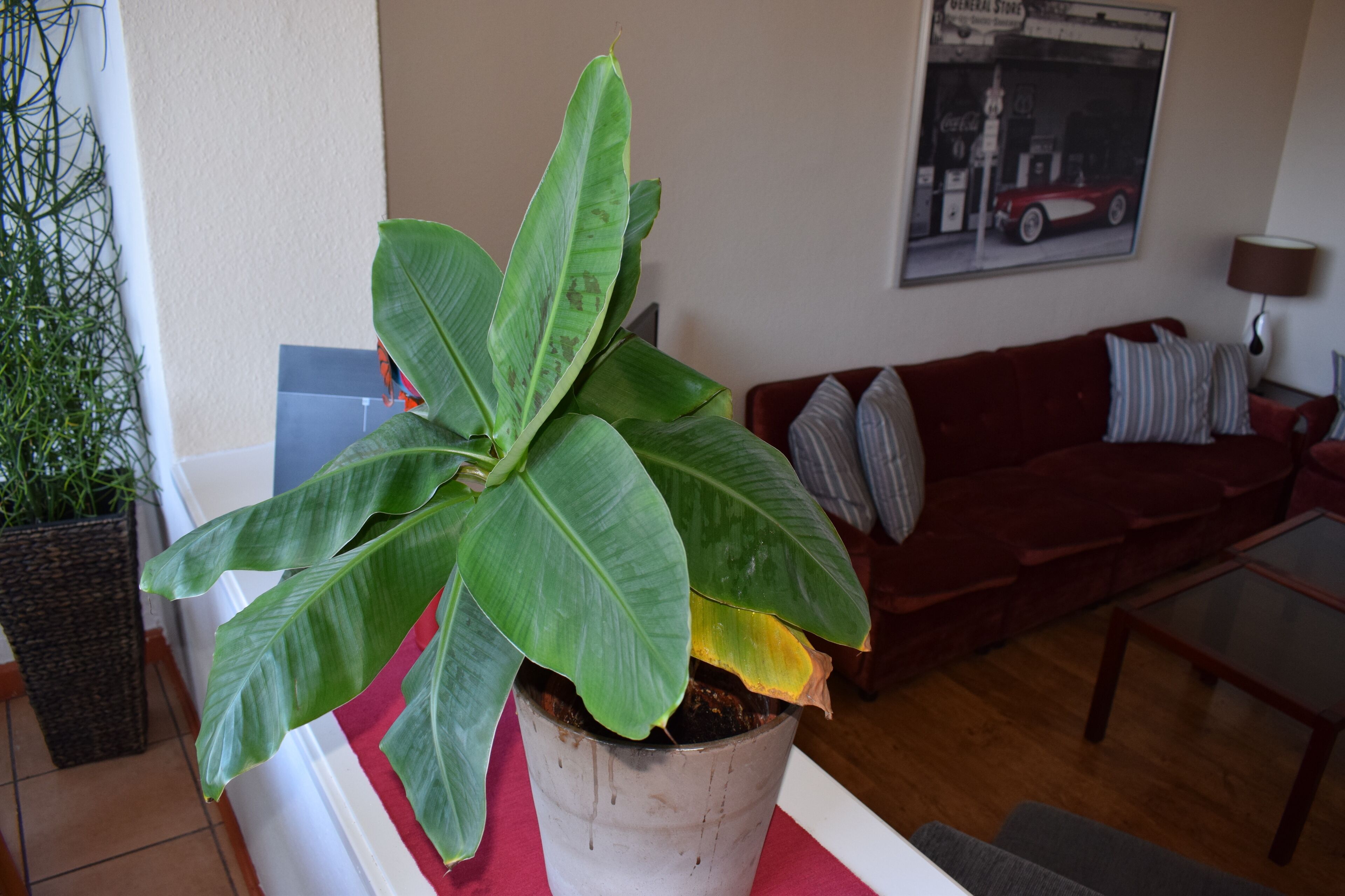 แกรนด์อพาร์ทเมนท์, 2 ห้องนอน (90 m2) | บริการอาหารในห้องพัก