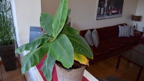 A potted plant with large green leaves in a room with a red couch and a glass coffee table. - Messewohnung Augusta (Wuppertal)