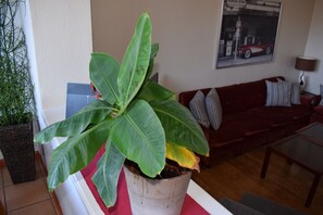 In-room dining - Messewohnung Augusta (Wuppertal)