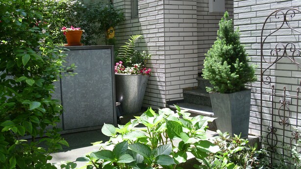 A garden with various plants and a metal gate. - Messewohnung Augusta (Wuppertal)