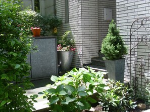 A garden with various plants and a metal gate. - Messewohnung Augusta (Wuppertal)