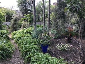 Property grounds - Blue Pohara Beach Holiday Home (Pohara Beach)