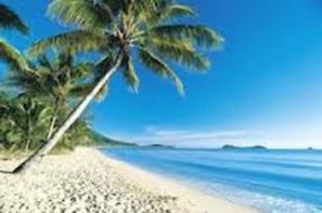 Nära stranden