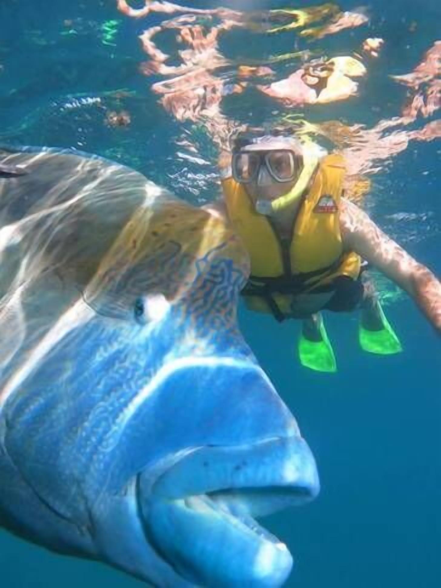 Your home  in paradise — image 8