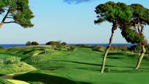 Ein Golfplatz mit freier Bahn, Bäumen und einer Fahne auf dem Grün.