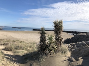 On the beach, sun loungers