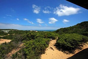 A natural landscape with a dirt path, dense greenery, and a distant view of the sea under a clear sky. - Dunes Retreat - amazing views of the ocean beach (St Andrews Beach)