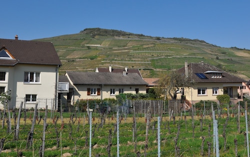 Beautiful Cottage In Soultzmatt In The Heart Of A Wine Estate