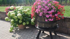 Un jardín con macetas y un banco de madera.