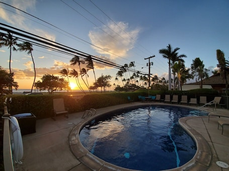 Outdoor pool. Entire ocean view1 bedroom apt poolside