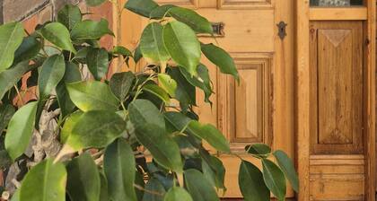 Adelaide Majoitus - Chittleborough