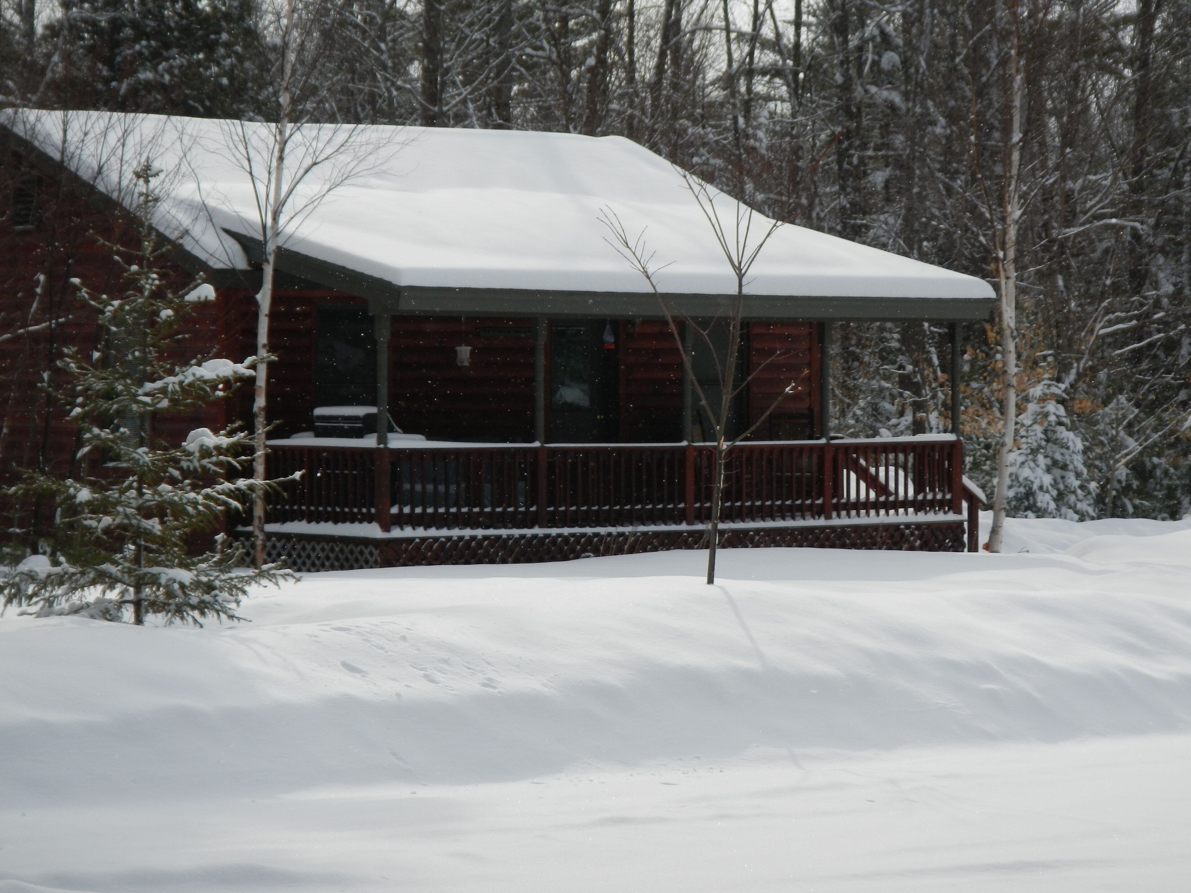2 Bedroom Cabin located in Will View neighborhood 3 miles  from Sunday Riv