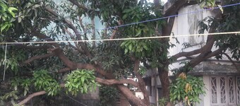 Vagabong Diaries Little  Boho Home