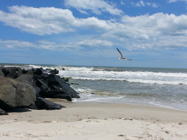 Beach nearby - Tropical Feel-2nd floor, Huge Covered Furnished Deck-Quietest Area of Island (HOLGATE)