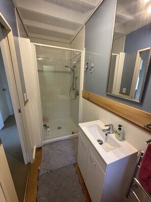 Shower, towels, soap, shampoo - Sunny with decks and bush/harbour views. Three bedrooms. Pet friendly. (Raglan)
