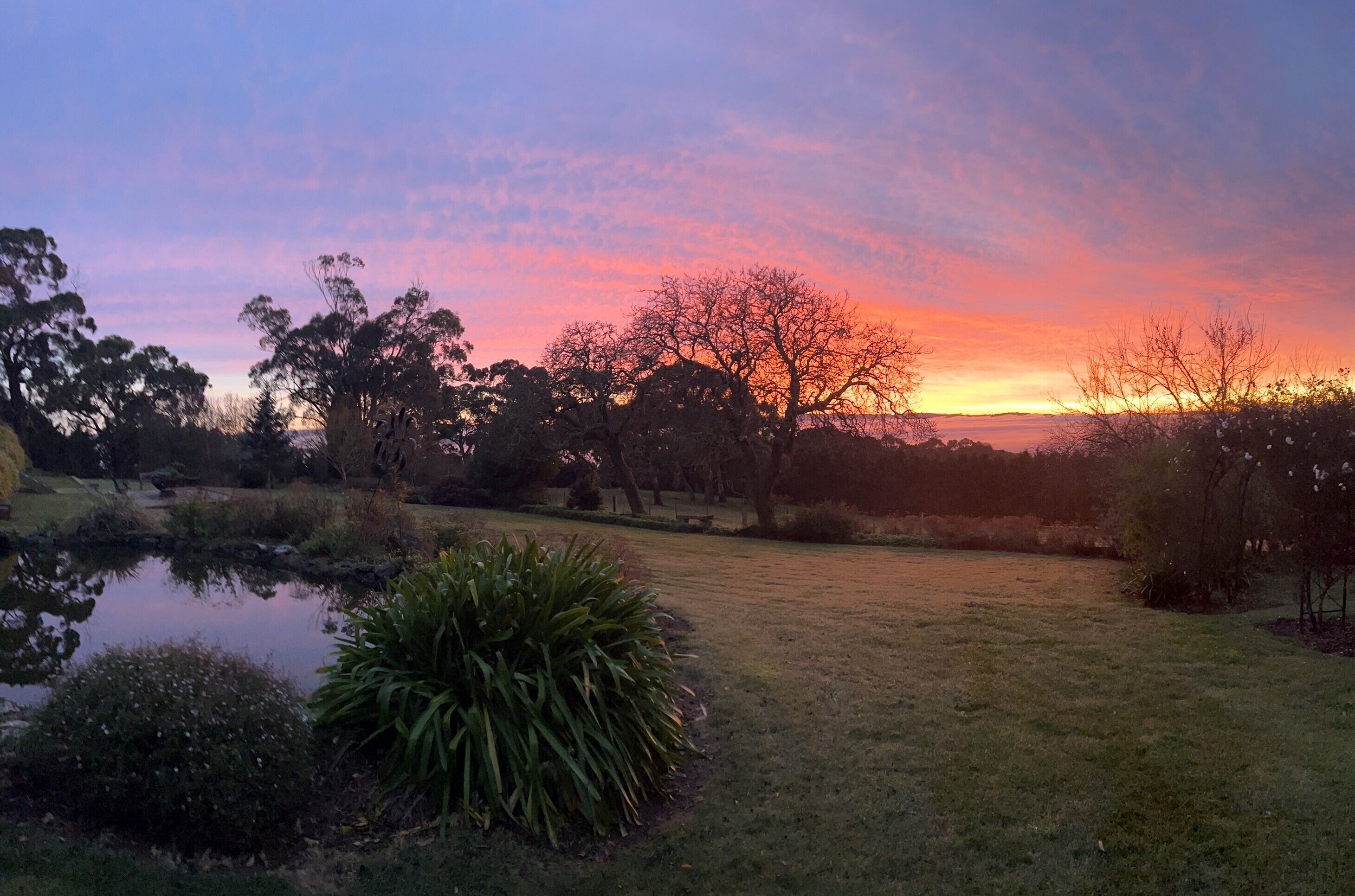 Un paysage paisible avec un étang, des zones herbeuses et des arbres, au coucher du soleil.