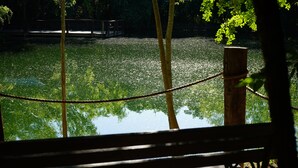 A wooden bench overlooking a pond with reflections of trees and a distant bridge. - Country-style Oasis! The perfect family get-away. VIEW OUR VIDEO!  (San Antonio)