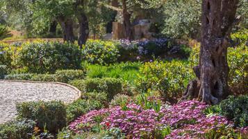 Jardines del alojamiento