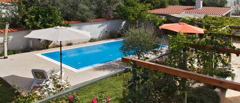 A swimming pool surrounded by greenery and a white chair.