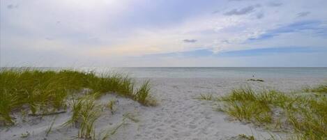 Sillas reclinables de playa, toallas de playa