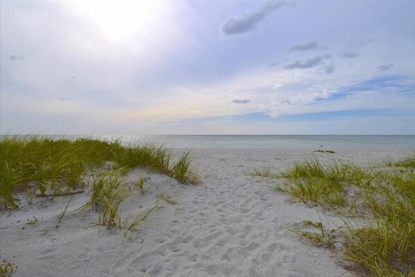 Sun-loungers, beach towels