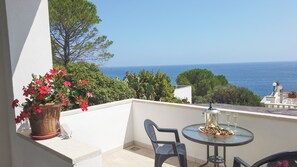 Property grounds - Casa Stella Marina (Castro)