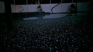 A dimly lit indoor space with a reflective floor, a metal chair, and a potted plant. - Special summer discounts available NOW! Family-Friendly Heated Pool Escape (Land O' Lakes)