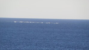 A view of the ocean with waves and a distant horizon.