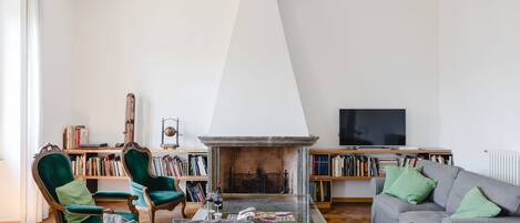 TV, fireplace, books
