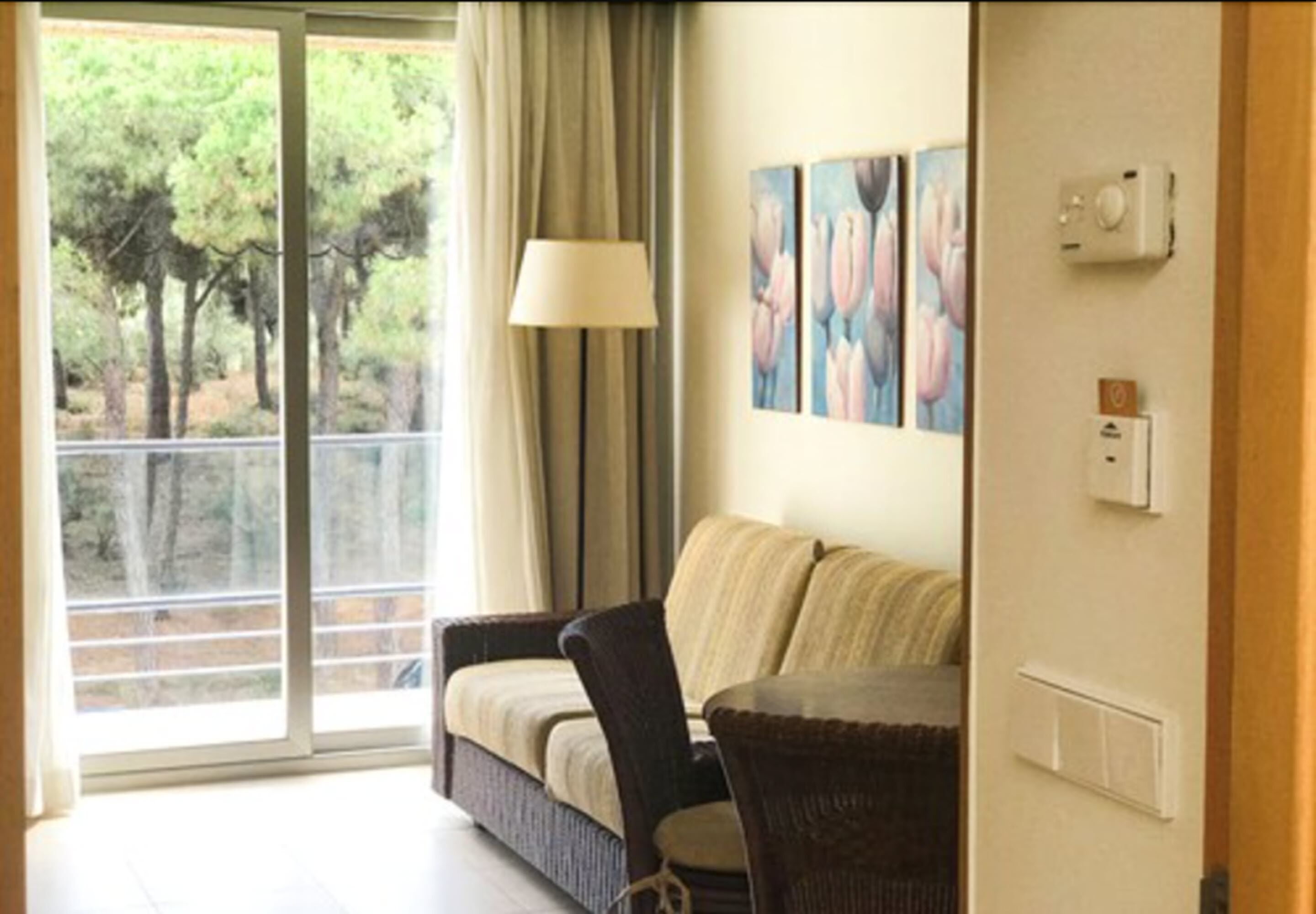 studio | living room | tv