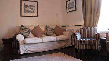 TV connectée, cheminée, lecteur de DVD, livres