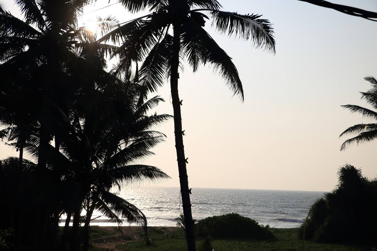 Blick auf einen Strand mit Palmen und dem Meer.