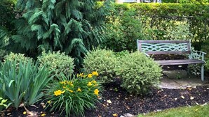 Un jardin avec un banc, différents arbustes et un grand arbre.